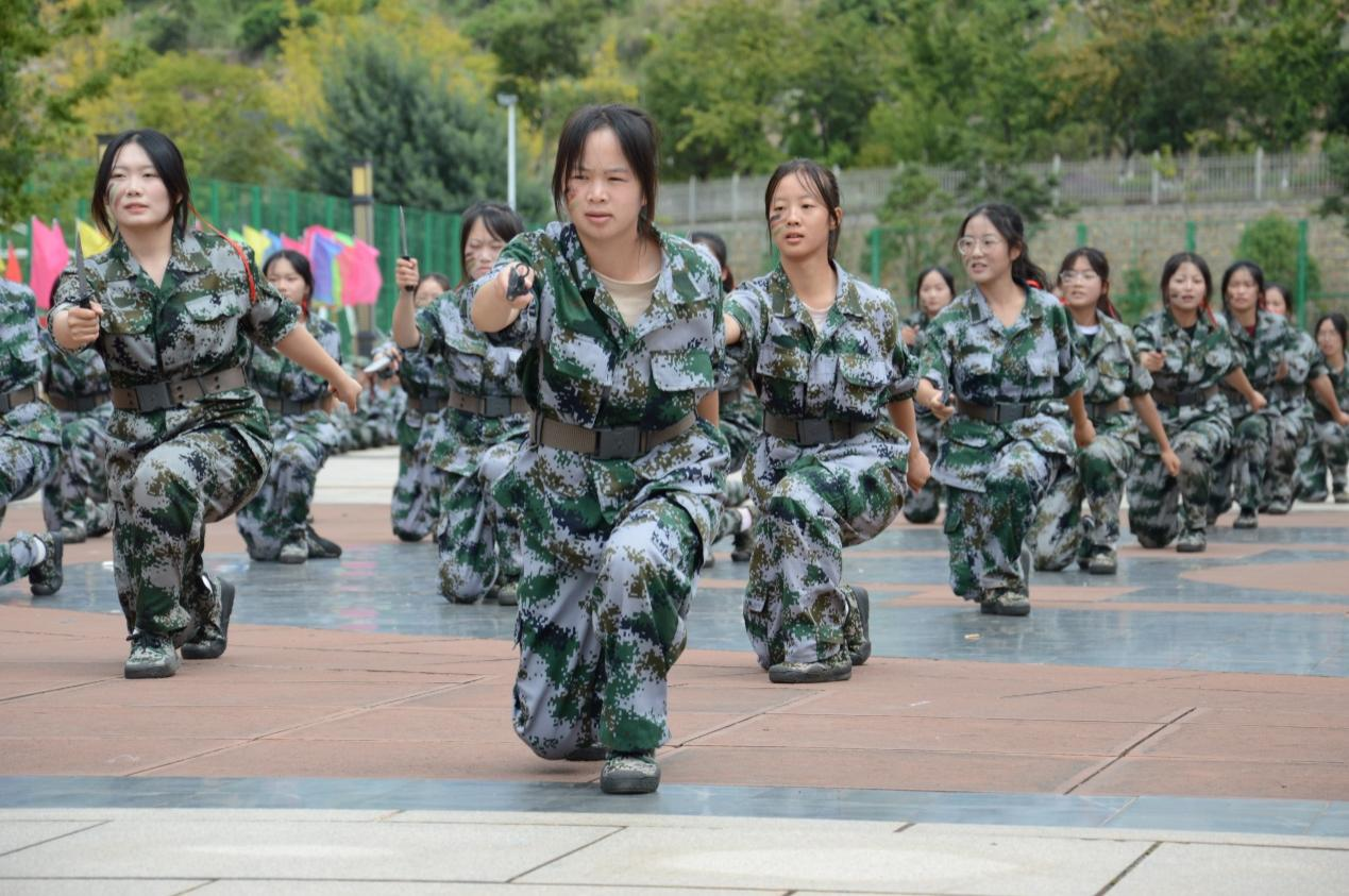 图片13